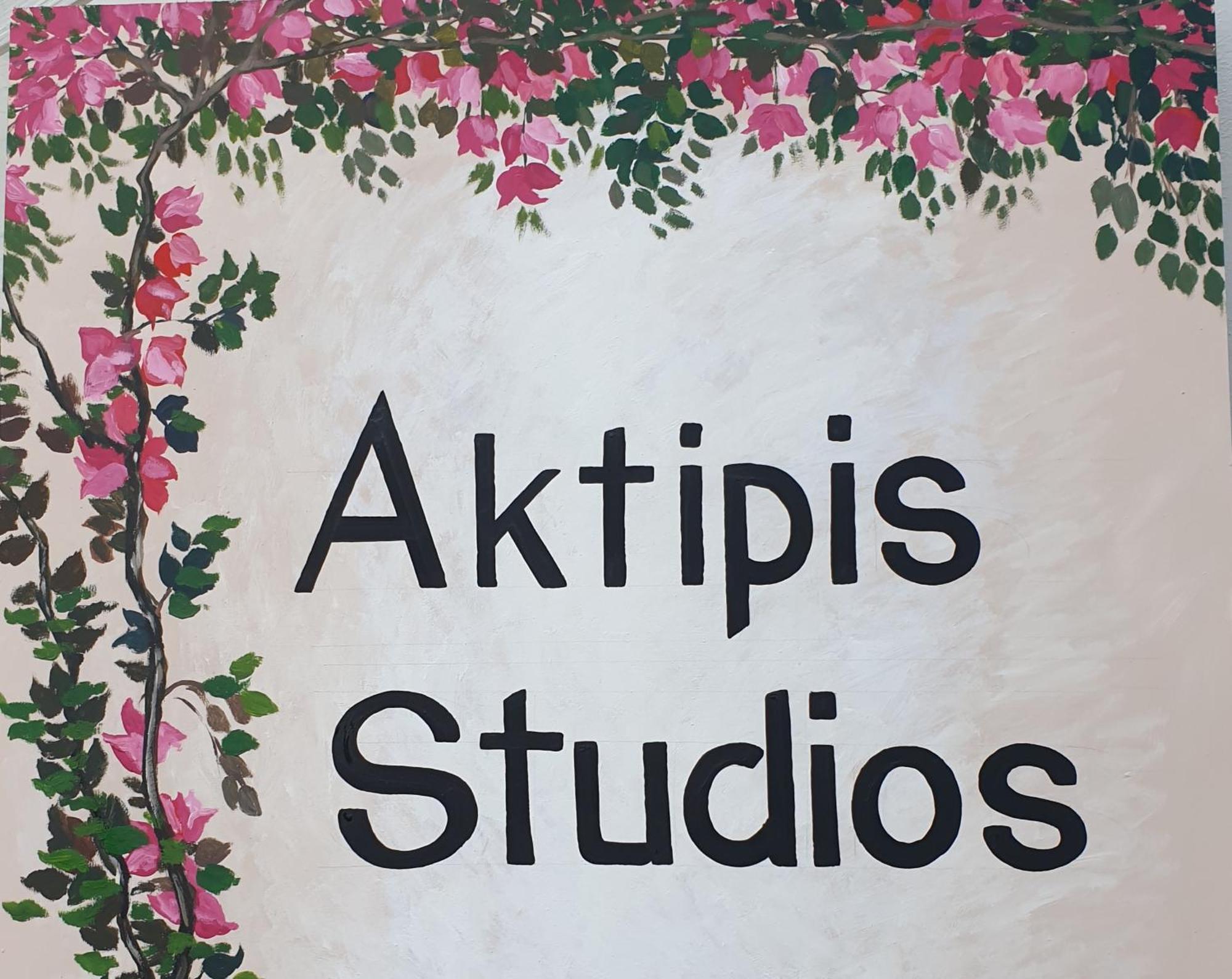 Aktipis Studios Argászi Kültér fotó